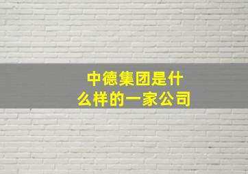 中德集团是什么样的一家公司