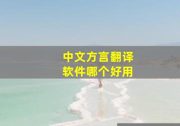 中文方言翻译软件哪个好用