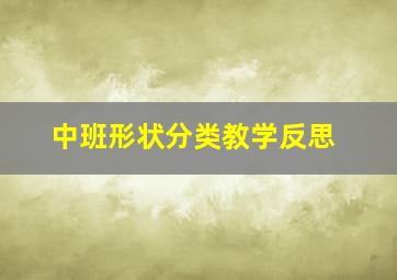 中班形状分类教学反思