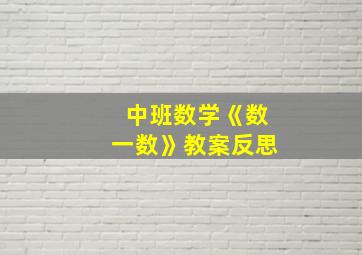 中班数学《数一数》教案反思