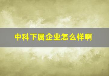 中科下属企业怎么样啊