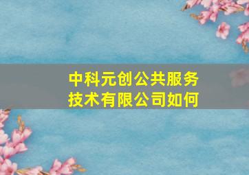 中科元创公共服务技术有限公司如何