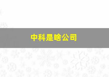 中科是啥公司