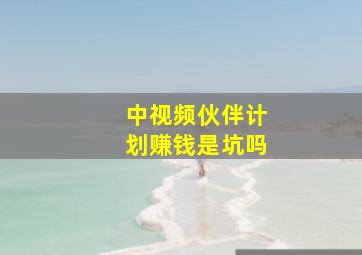 中视频伙伴计划赚钱是坑吗