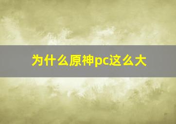 为什么原神pc这么大