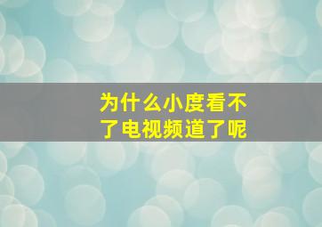 为什么小度看不了电视频道了呢