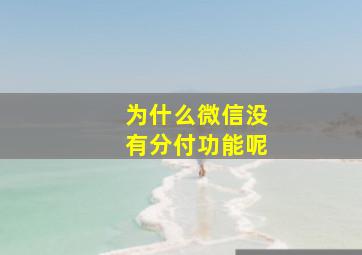 为什么微信没有分付功能呢