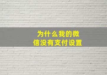 为什么我的微信没有支付设置