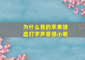 为什么我的苹果键盘打字声音很小呢