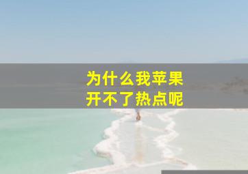 为什么我苹果开不了热点呢