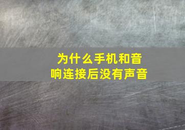 为什么手机和音响连接后没有声音