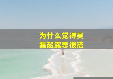 为什么觉得吴磊赵露思很搭