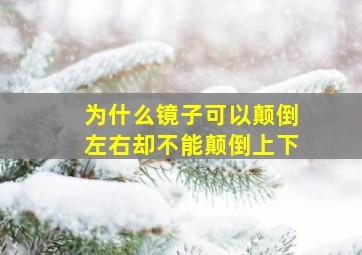 为什么镜子可以颠倒左右却不能颠倒上下