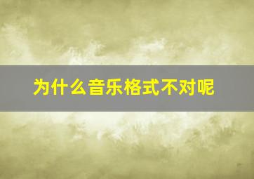 为什么音乐格式不对呢