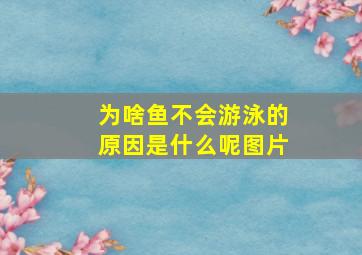 为啥鱼不会游泳的原因是什么呢图片