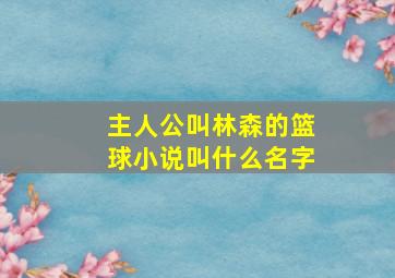 主人公叫林森的篮球小说叫什么名字