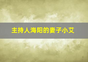 主持人海阳的妻子小艾