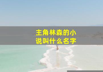 主角林森的小说叫什么名字