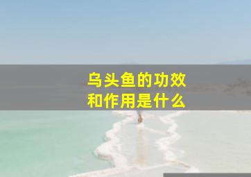 乌头鱼的功效和作用是什么