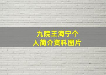 九院王海宁个人简介资料图片