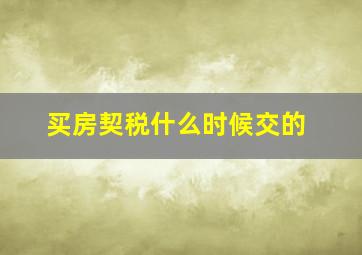 买房契税什么时候交的