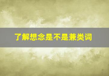 了解想念是不是兼类词