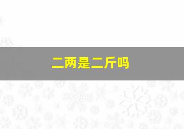 二两是二斤吗