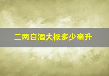 二两白酒大概多少毫升