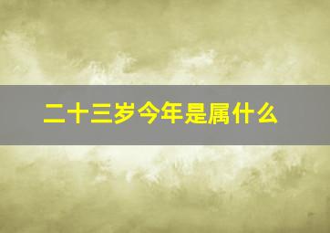 二十三岁今年是属什么