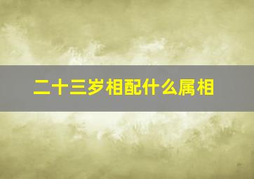 二十三岁相配什么属相