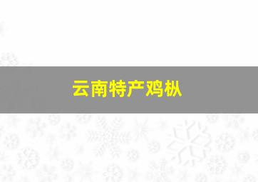 云南特产鸡枞