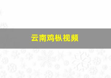 云南鸡枞视频