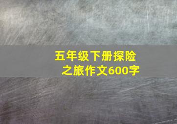 五年级下册探险之旅作文600字