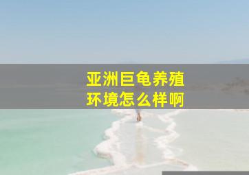 亚洲巨龟养殖环境怎么样啊