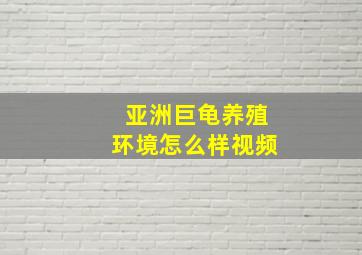 亚洲巨龟养殖环境怎么样视频