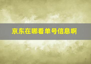 京东在哪看单号信息啊