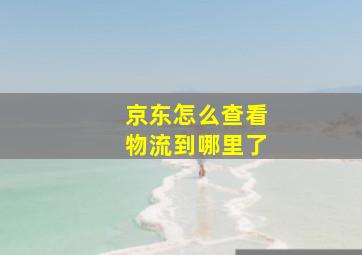 京东怎么查看物流到哪里了