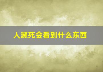 人濒死会看到什么东西