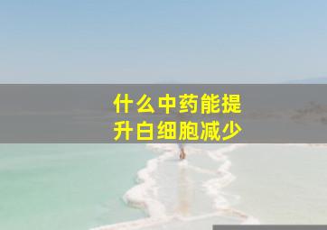 什么中药能提升白细胞减少