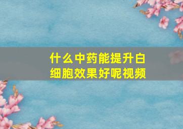 什么中药能提升白细胞效果好呢视频