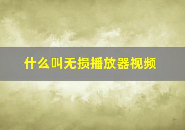 什么叫无损播放器视频