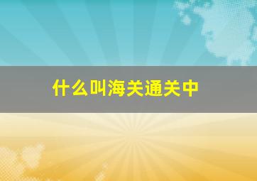 什么叫海关通关中