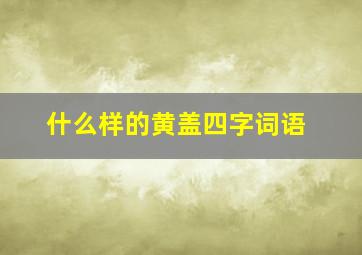 什么样的黄盖四字词语