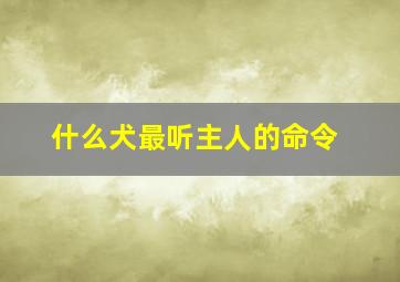 什么犬最听主人的命令