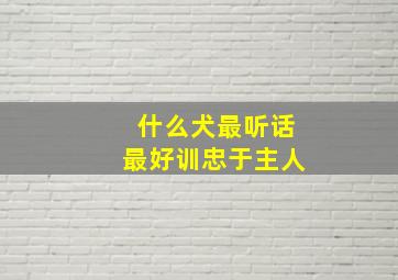 什么犬最听话最好训忠于主人