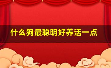 什么狗最聪明好养活一点