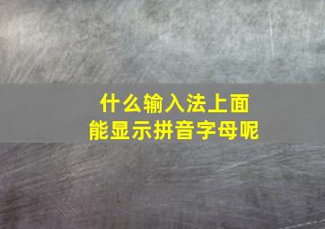 什么输入法上面能显示拼音字母呢