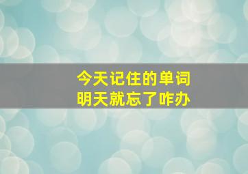 今天记住的单词明天就忘了咋办