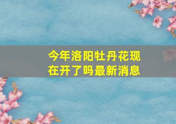 今年洛阳牡丹花现在开了吗最新消息