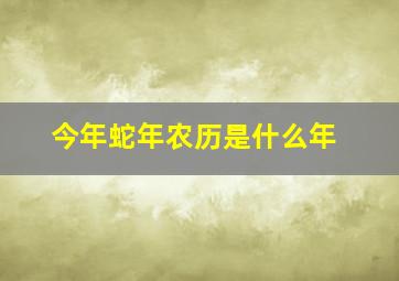 今年蛇年农历是什么年